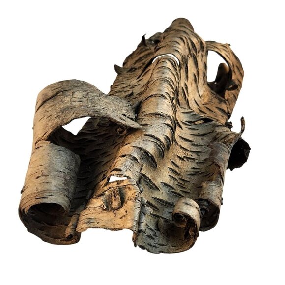 Natural Birch Bark Sheets For Crafting & Decor - Picture 3 of 8